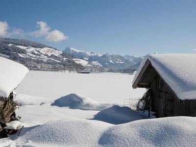 Winterbilder Bild 3